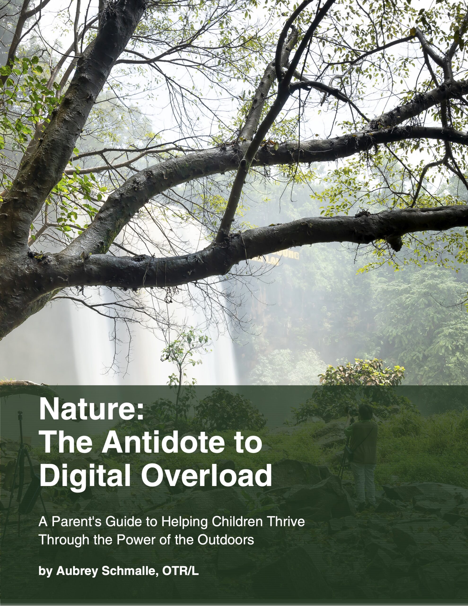 Nature_The_Antidote_to_Digital_Overload